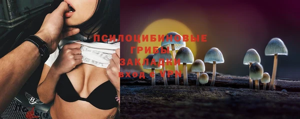 соль ск Кодинск