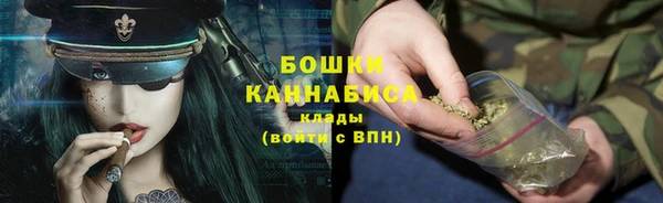 прущие грибы Козельск