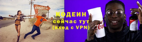 прущие грибы Козельск