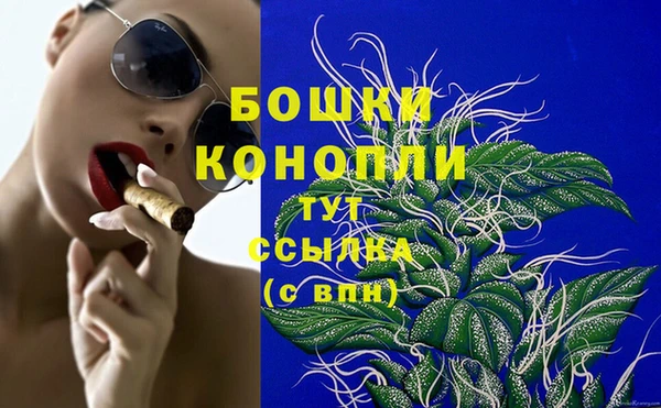 прущие грибы Козельск