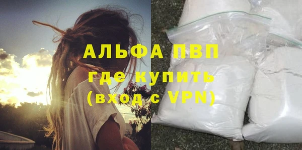 прущие грибы Козельск