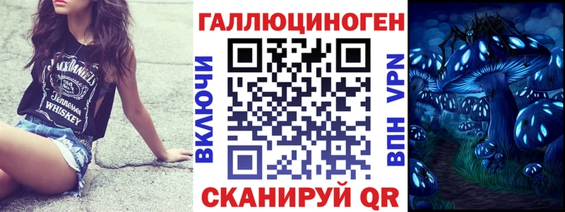 Купить где Гремячинск Псилоцибиновые грибы Cubensis